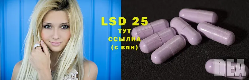 ссылка на мегу маркетплейс  Калининград  Лсд 25 экстази ecstasy 