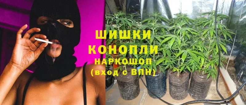 купить   Калининград  Каннабис Ganja 